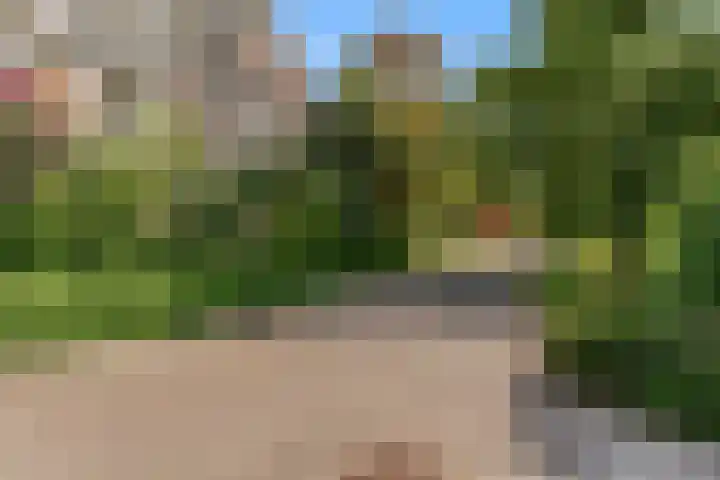 Molenzicht 15 Leiden thumbnail 32