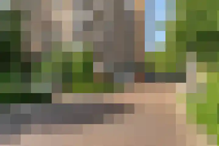 Molenzicht 15 Leiden thumbnail 5