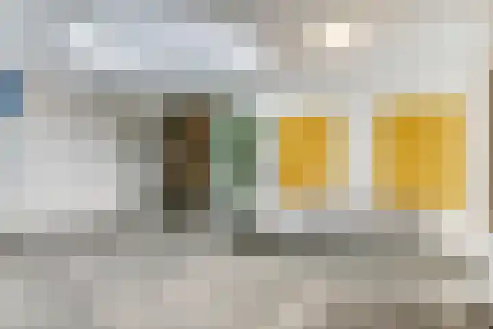 Molenzicht 15 Leiden thumbnail 7