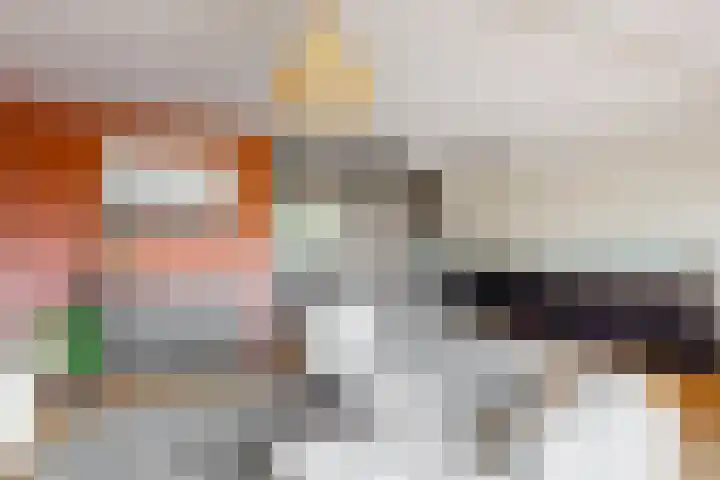 Molenzicht 15 Leiden thumbnail 8
