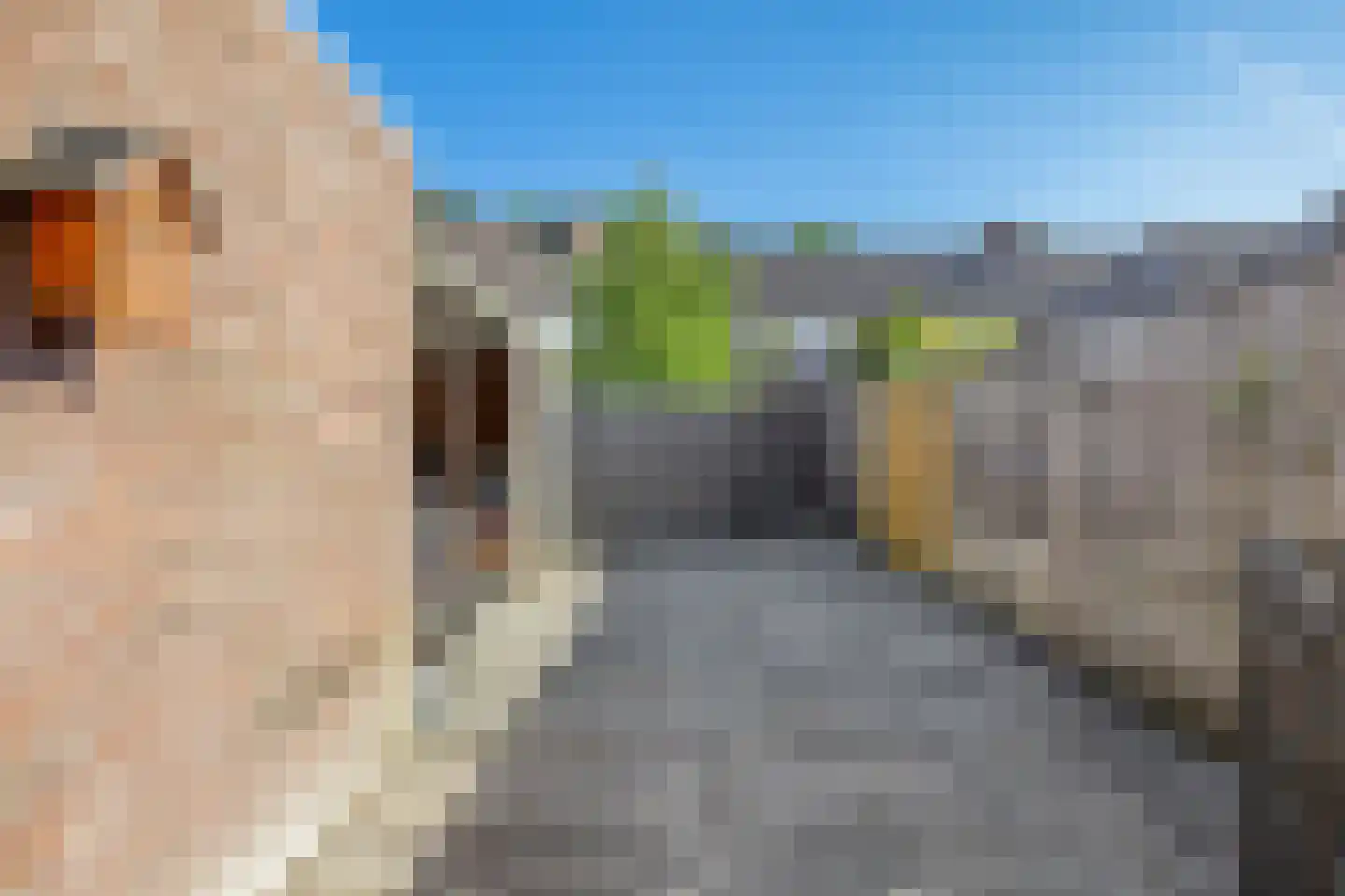 Molenzicht 167 Dirksland thumbnail 12