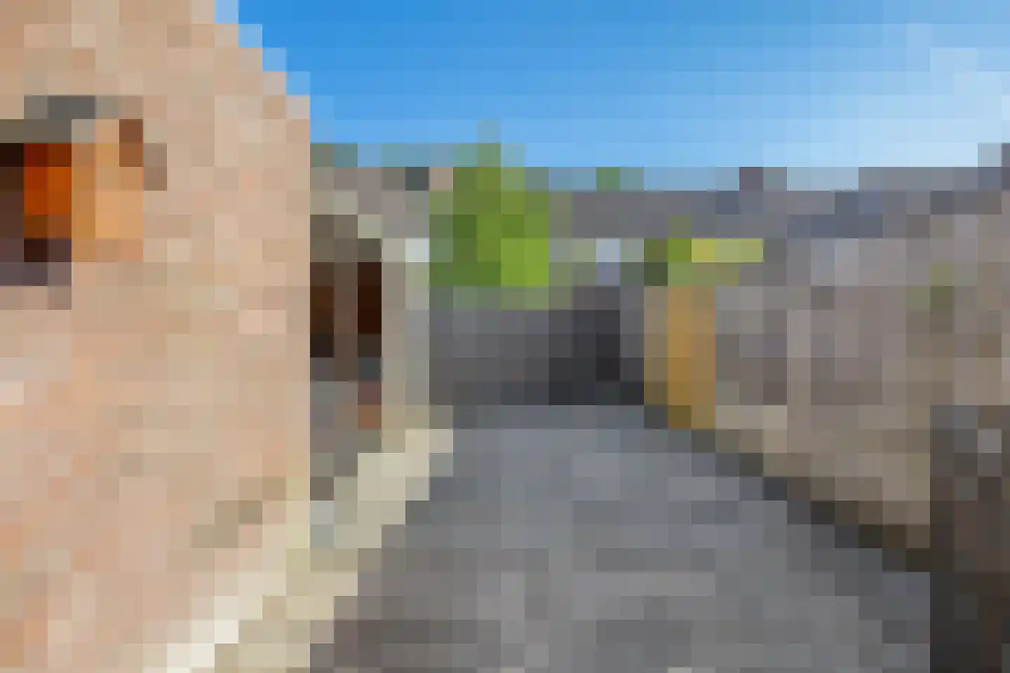 Molenzicht 167 Dirksland thumbnail 29