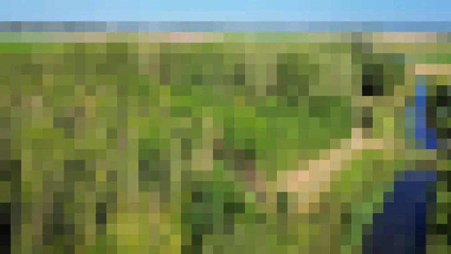 Molenzicht 167 Dirksland thumbnail 33