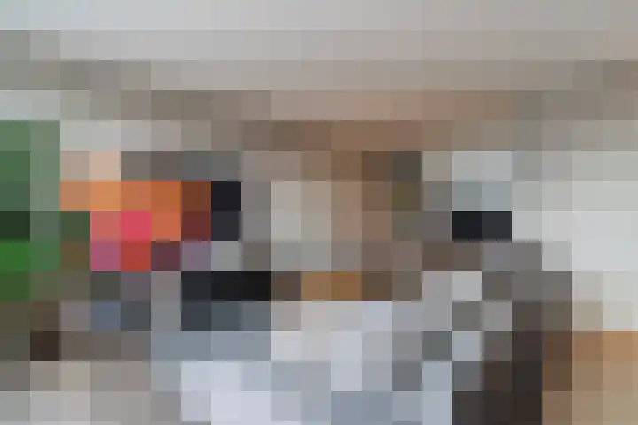 Molenzicht 28 Reusel thumbnail 12
