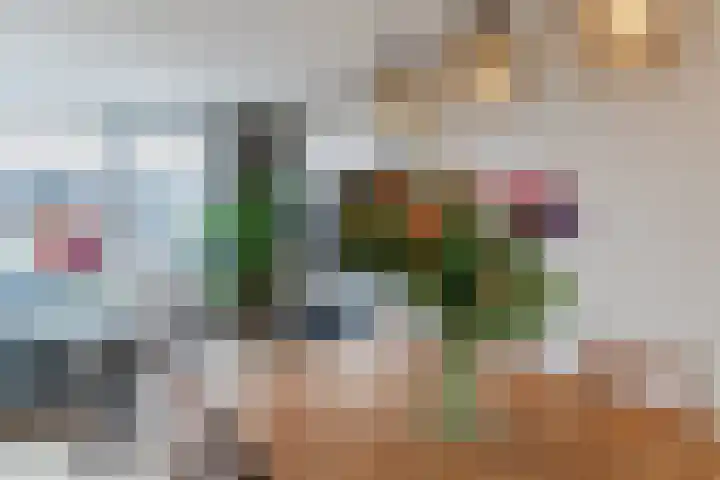Molenzicht 28 Reusel thumbnail 16