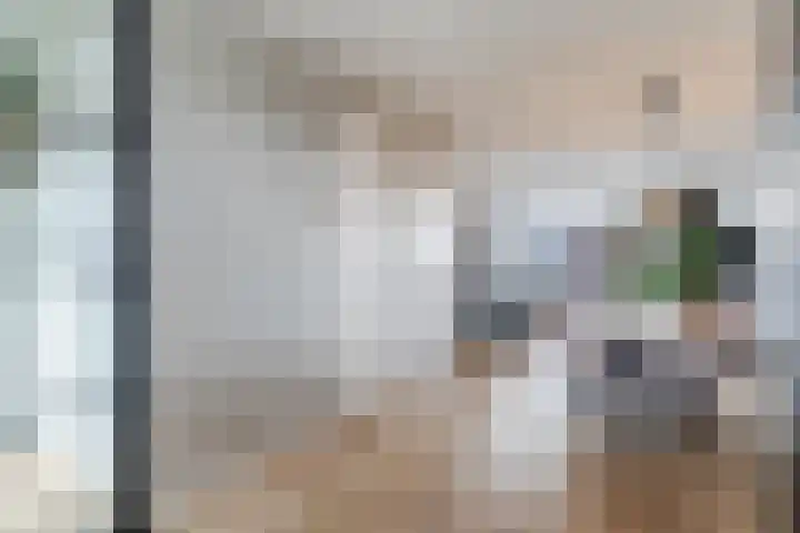 Molenzicht 28 Reusel thumbnail 17
