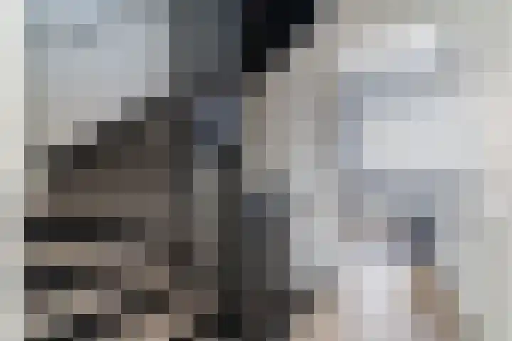 Molenzicht 28 Reusel thumbnail 20