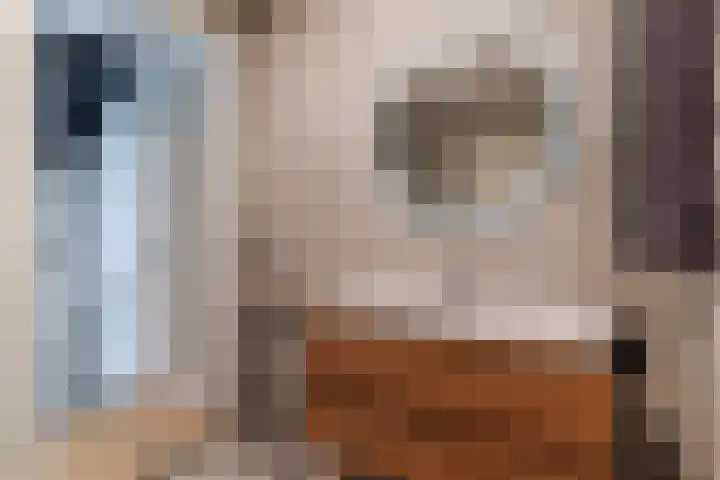 Molenzicht 28 Reusel thumbnail 29