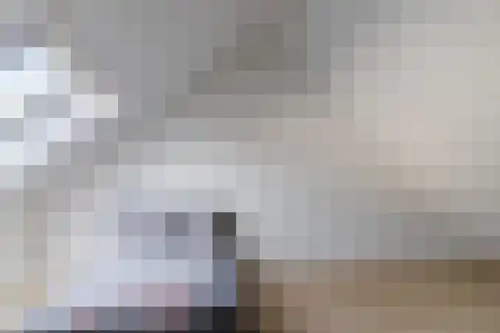 Molenzicht 28 Reusel thumbnail 30