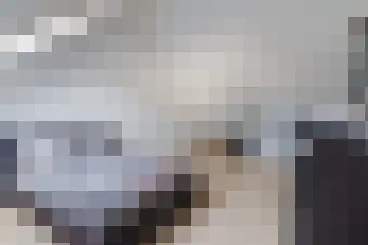 Molenzicht 28 Reusel thumbnail 31