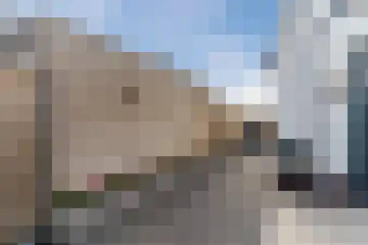 Molenzicht 28 Reusel thumbnail 39