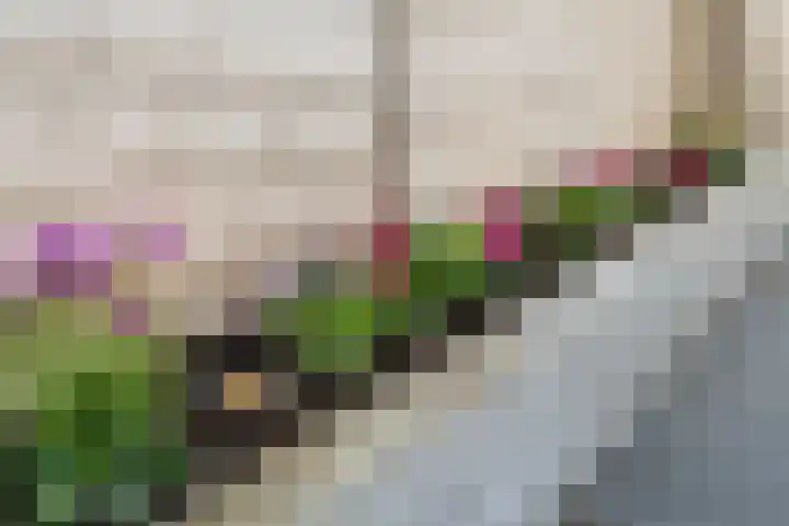 Molenzicht 28 Reusel thumbnail 40