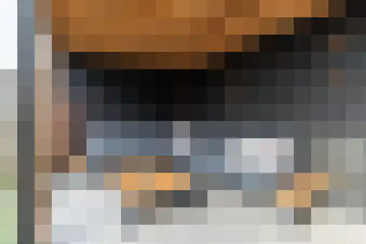Molenzicht 28 Reusel thumbnail 41