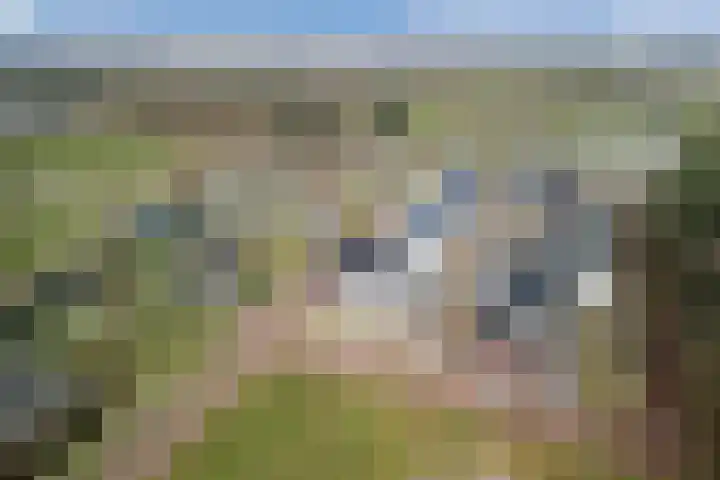 Molenzicht 28 Reusel thumbnail 47
