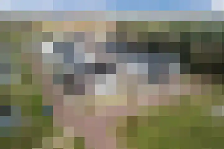 Molenzicht 28 Reusel thumbnail 48