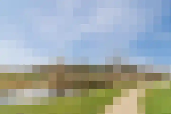 Molenzicht 28 Reusel thumbnail 50