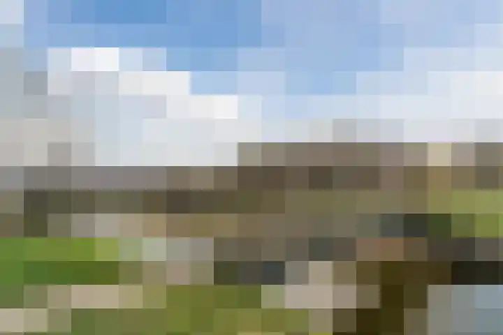 Molenzicht 28 Reusel thumbnail 51