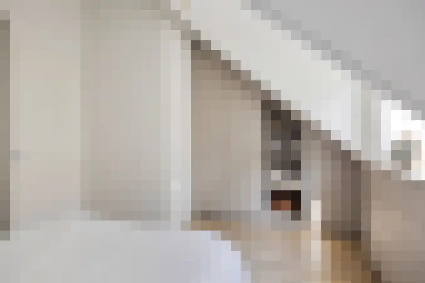 Molenzicht 4 Reusel thumbnail 16