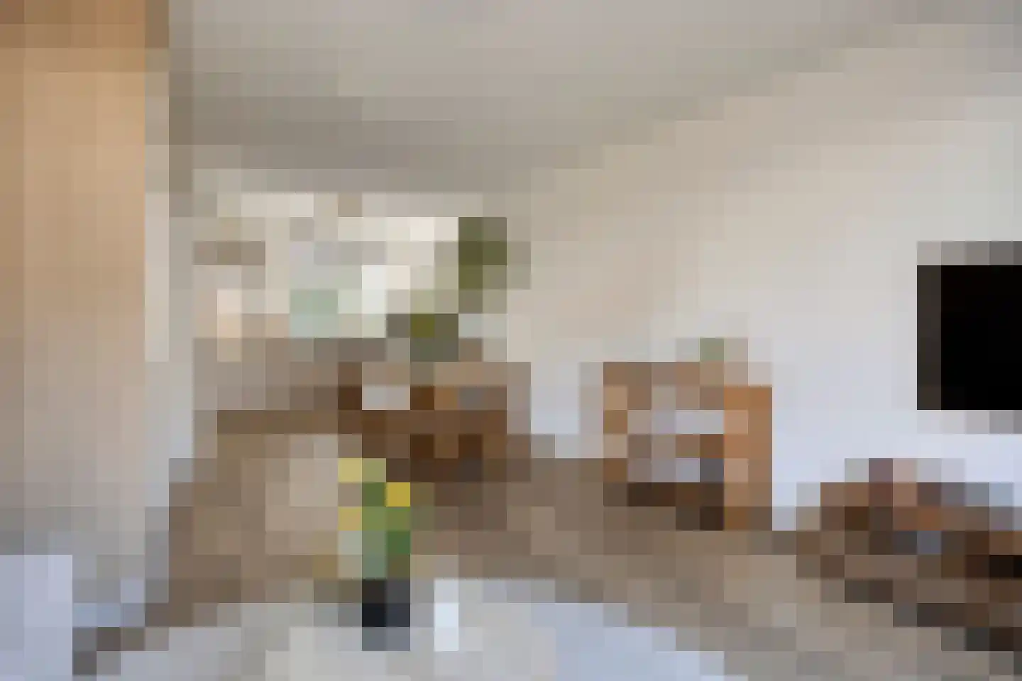 Molenzicht 4 Reusel thumbnail 6