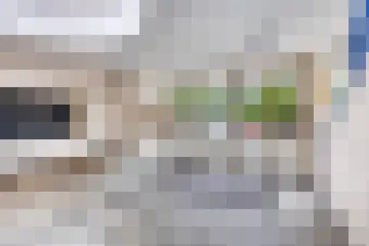 Molenzicht 47 Leiden thumbnail 11