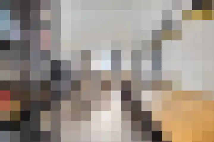 Molenzicht 47 Leiden thumbnail 16