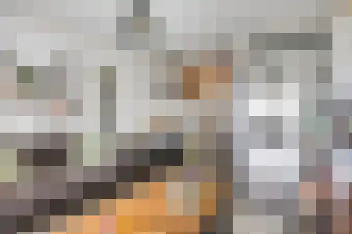 Molenzicht 47 Leiden thumbnail 17