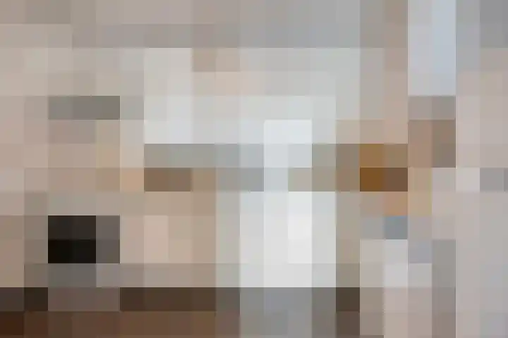 Molenzicht 47 Leiden thumbnail 20