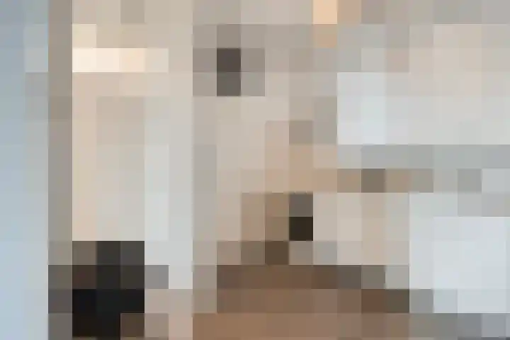 Molenzicht 47 Leiden thumbnail 21