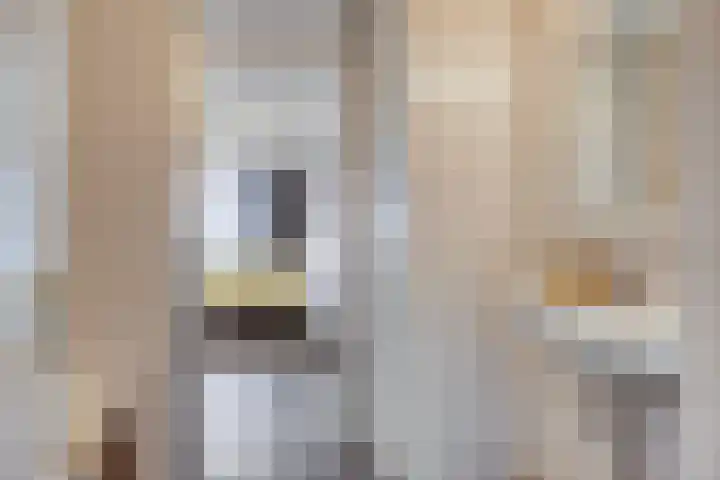 Molenzicht 47 Leiden thumbnail 24