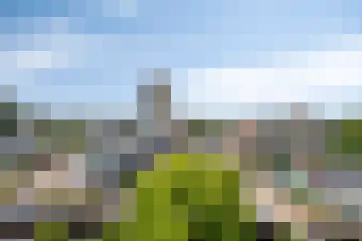 Molenzicht 47 Leiden thumbnail 30