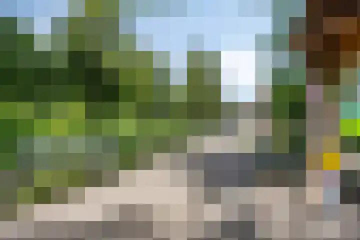 Molenzicht 47 Leiden thumbnail 32