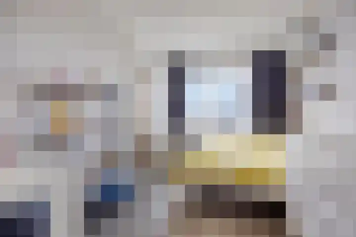 Molenzicht 47 Leiden thumbnail 6