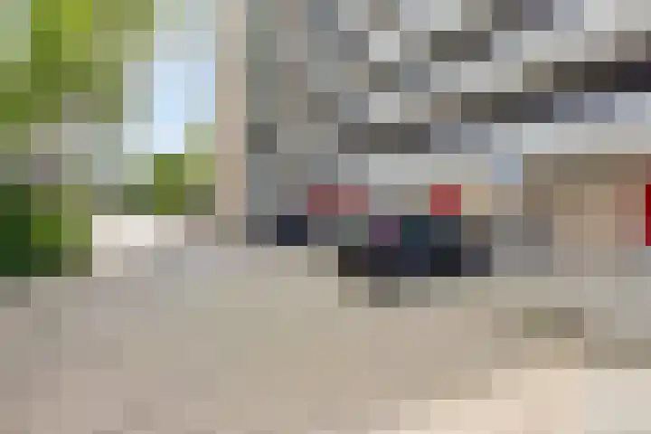 Molenzicht 47 Leiden thumbnail 9