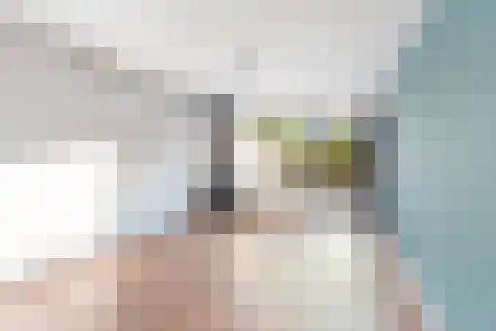 Molenzicht 6 Leiden thumbnail 17