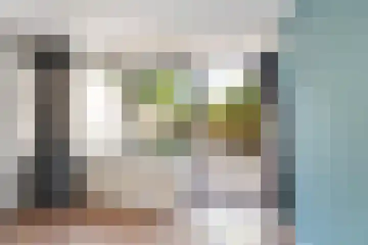 Molenzicht 6 Leiden thumbnail 22