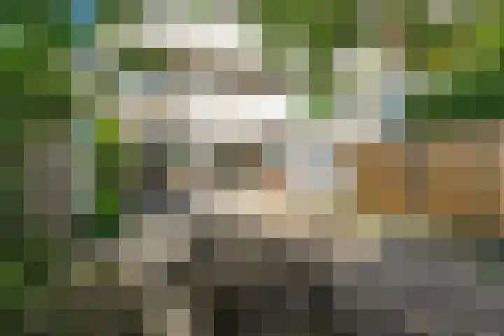 Molenzicht 6 Leiden thumbnail 23