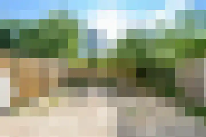 Molenzicht 6 Leiden thumbnail 24