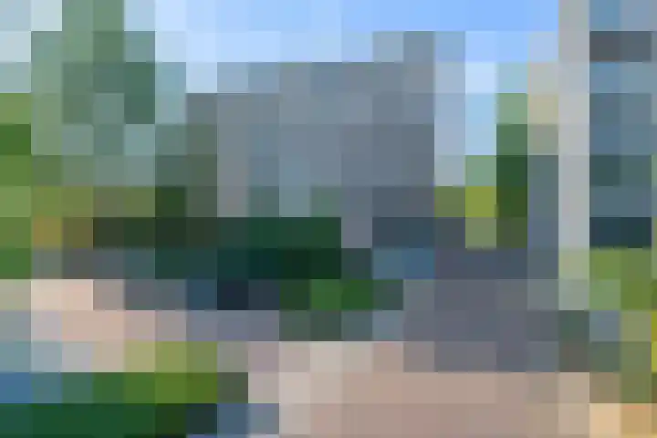 Molenzicht 6 Leiden thumbnail 5
