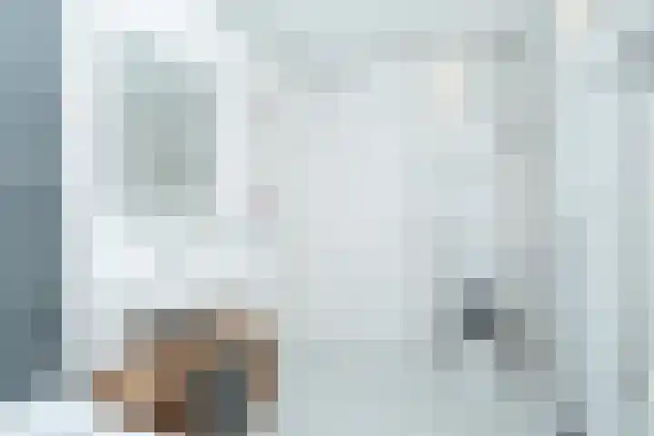 Molenzicht 6 Leiden thumbnail 9