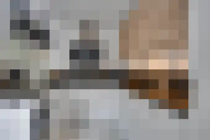 Molenzicht 69 Dirksland thumbnail 18