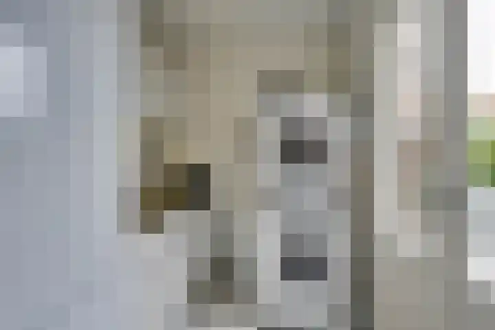 Molenzicht 69 Dirksland thumbnail 21