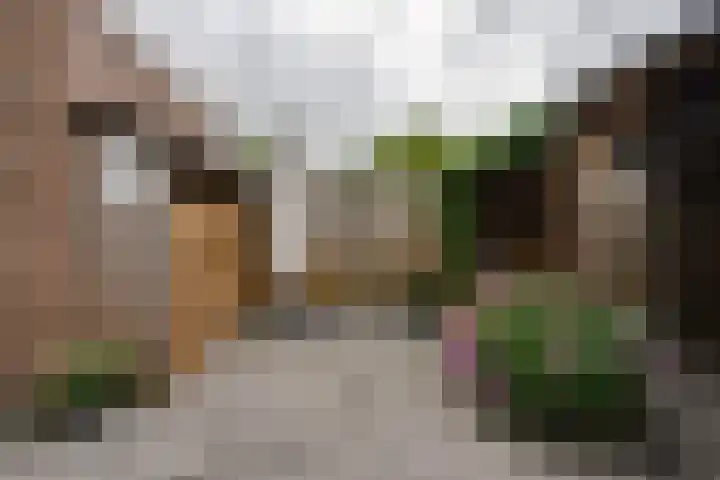 Molenzicht 69 Dirksland thumbnail 25