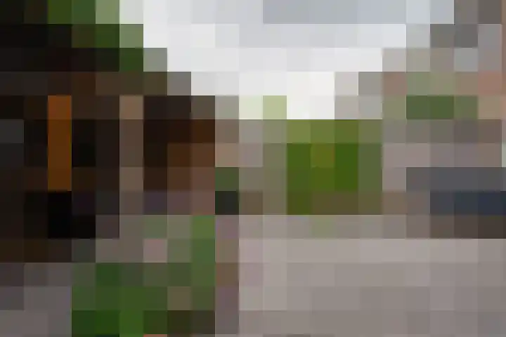 Molenzicht 69 Dirksland thumbnail 26