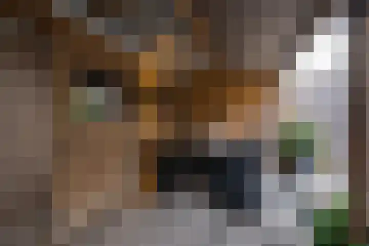 Molenzicht 69 Dirksland thumbnail 27