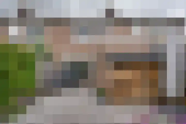 Molenzicht 69 Dirksland thumbnail 28