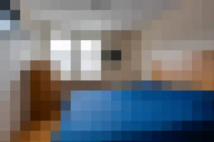 Molenzicht 69 Dirksland thumbnail 31