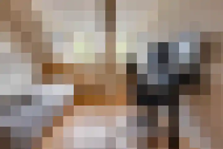 Molenzicht 69 Dirksland thumbnail 33