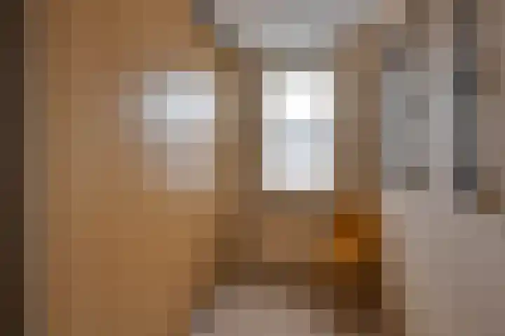Molenzicht 69 Dirksland thumbnail 35