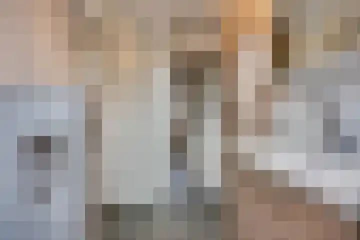 Molenzicht 69 Dirksland thumbnail 37