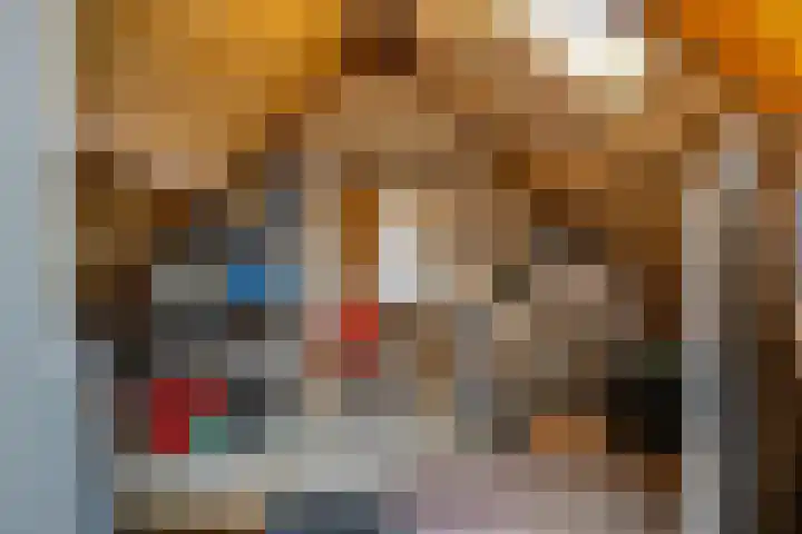 Molenzicht 69 Dirksland thumbnail 39